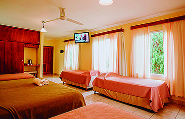 Gallery 05